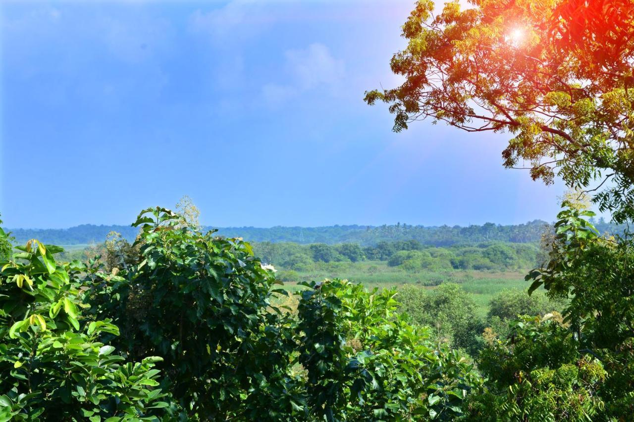 Randu Homestay&Restaurant Tangalle Bagian luar foto